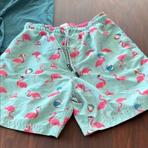 Flamingo Print Swim Shorts
